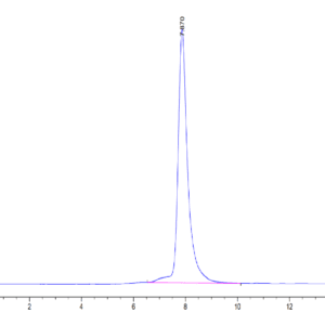 HPLC of Mouse CD8 alpha/CD8A Protein 4248