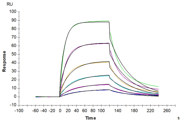 SPR with Mouse PD-1/PDCD1 Protein 4249