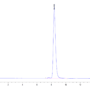 HPLC of Human BACE-1 Protein 4253