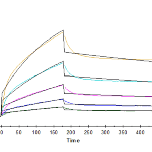 SPR with Cynomolgus B7-H2/ICOSLG Protein 4256