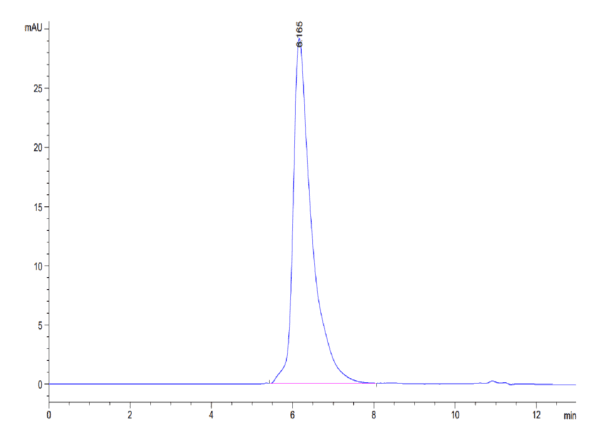HPLC of Human MERTK/Mer Protein 4265