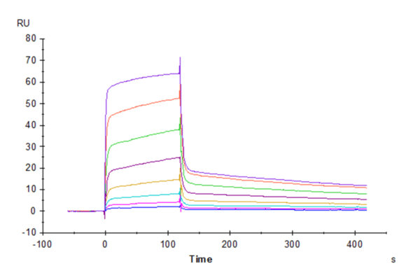 SPR with Rhesus macaque CD155/PVR Protein 4268