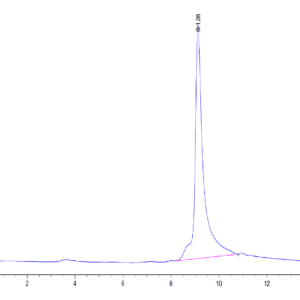 HPLC of Human S100A9/MRP14 Protein 4277