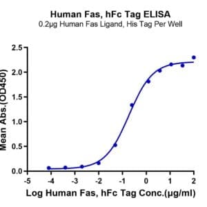 ELISA with Human Fas/TNFRSF6/CD95 Protein 4279