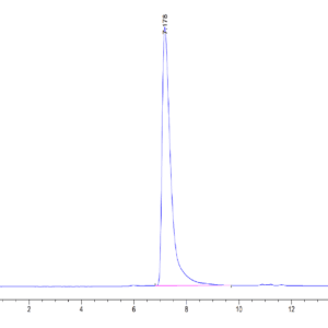 HPLC of Human CD31/PECAM-1 Protein 4285