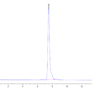 HPLC of Human CD99/MIC2 Protein 4289