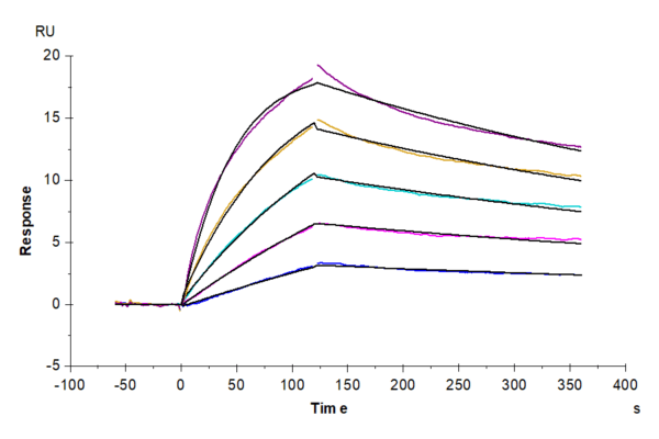 SPR with Mouse IL-23 alpha&IL-12 beta Protein 4293