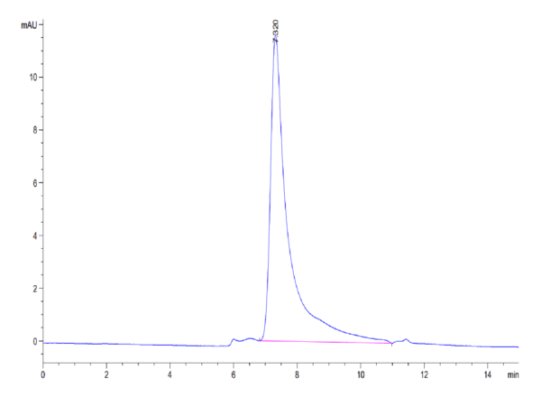 HPLC of Mouse IL-23 alpha&IL-12 beta Protein 4293