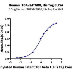 ELISA with Human Integrin alpha V beta 8 (ITGAV&ITGB8) Heterodimer Prot 4302