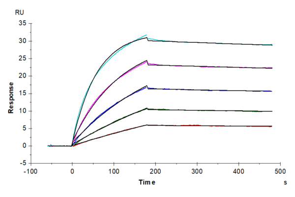 SPR with Biotinylated Human IL-17A/CTLA-8 Protein 4308