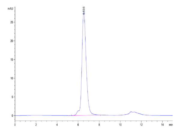 HPLC of Human NKG2A/CD159a Protein 4311