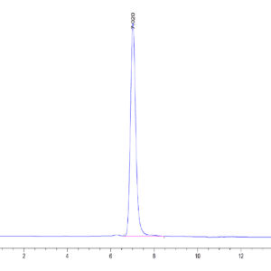 HPLC of Human PTK7/CCK4 Protein 4313