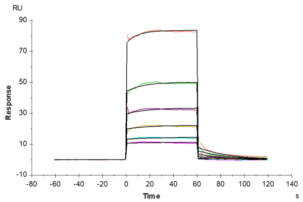 SPR with Human APOE3/Apolipoprotein E Protein 4315