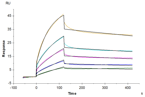 SPR with Human ANGPTL4/Angiopoietin-like 4 Protein 4316