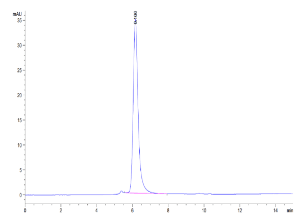 HPLC of Human ANGPTL4/Angiopoietin-like 4 Protein 4316