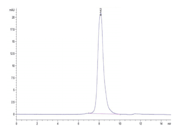 HPLC of Human Alkaline phosphatase (Intestinal type) /ALPI Protein 4324