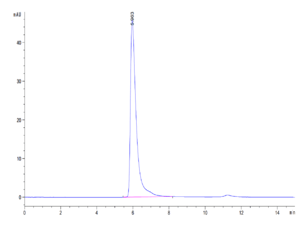 HPLC of SARS-COV-2 Spike S1 Protein 4325