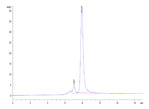 HPLC of Biotinylated Human Latent TGF beta 1/TGFB1 Protein 4331