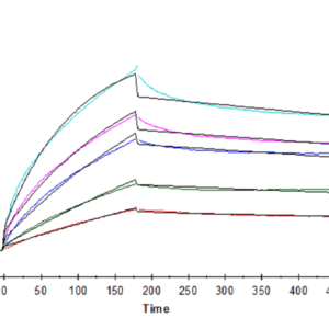 SPR with Human HLA-G&B2M&Peptide (RIIPRHLQL) Tetramer Protein 4335