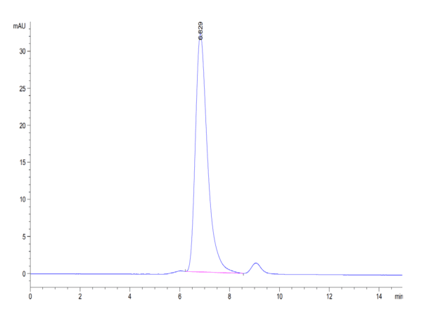 HPLC of Human HLA-G&B2M&Peptide (RIIPRHLQL) Tetramer Protein 4335