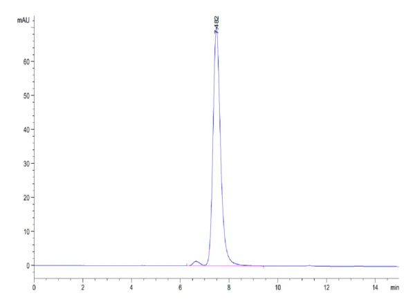 HPLC of Biotinylated Human HLA-G&B2M&Peptide (RIIPRHLQL) Monomer Protei 4336