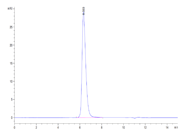 HPLC of Biotinylated Human 4-1BB/TNFRSF9 Protein 4339