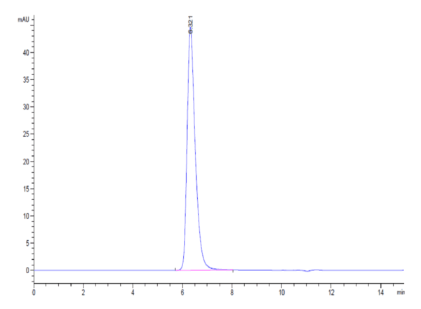 HPLC of Human 4-1BB/TNFRSF9 Protein 4340