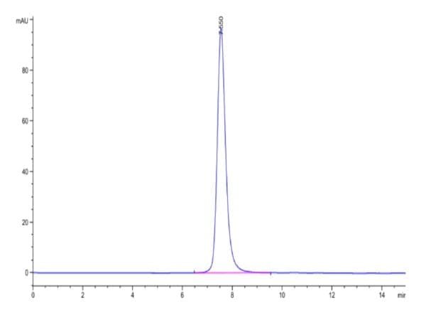 HPLC of Biotinylated Human HLA-A*02:01&B2M&MAGE-A4 (GVYDGREHTV) Monomer 4351