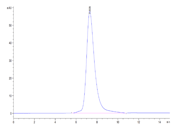 HPLC of Biotinylated Human LILRB3/CD85a/ILT5 Protein 4361