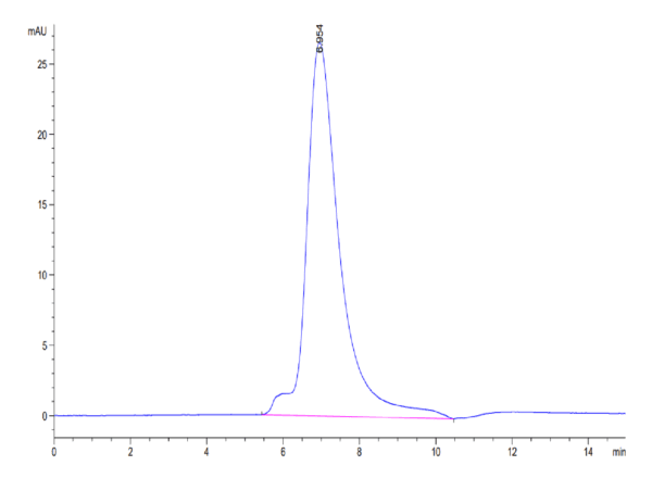 HPLC of Biotinylated Human LILRA1/CD85i/LIR-6 Protein 4363