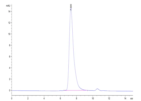 HPLC of Biotinylated Cynomolgus MSLN/Mesothelin Protein (Primary Amine  4366