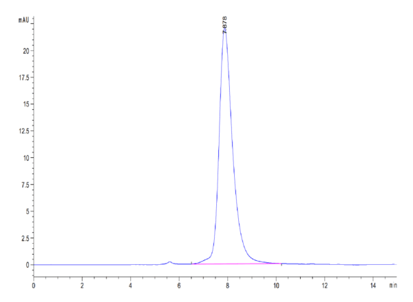 HPLC of SARS-COV-2 Spike S1 (N501Y,K417N,E484K) Protein 4368