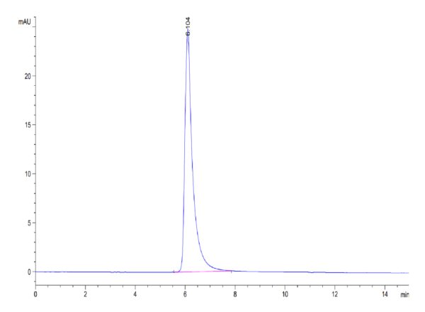 HPLC of SARS-COV-2 Spike S Trimer (D614G) Protein 4375