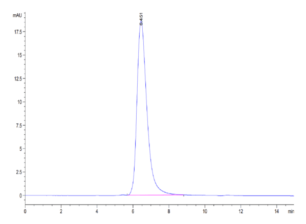 HPLC of SARS-COV-2 Spike S1 (N501Y) Protein 4376