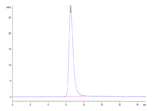 HPLC of SARS-COV-2 Spike S1 (D614G) Protein 4378