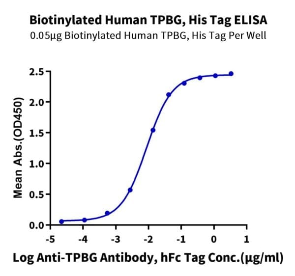 ELISA with Biotinylated Human TPBG/5T4 Protein 4381
