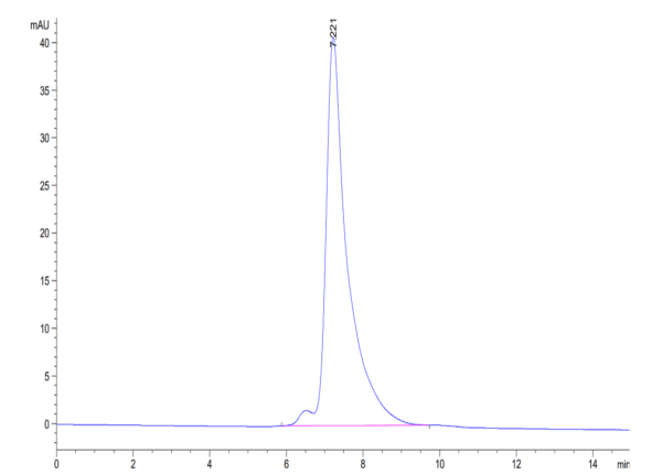 HPLC of Biotinylated Human HLA-A*02:01&B2M&WT-1 (RMFPNAPYL) Monomer Pro 4383