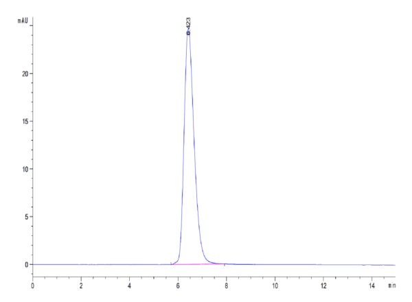 HPLC of Canine CD28 Protein 4388