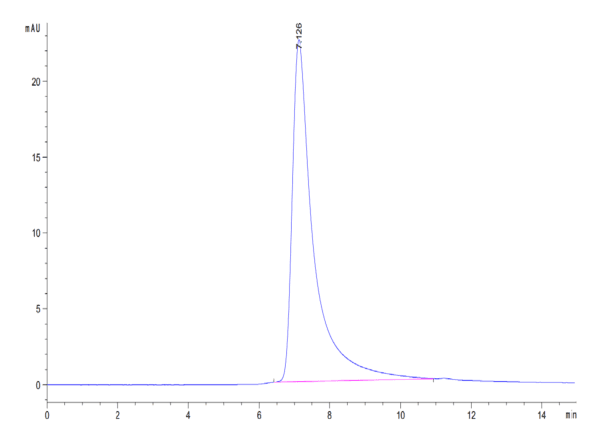 HPLC of Mouse ENPP-2/Autotaxin Protein 4391