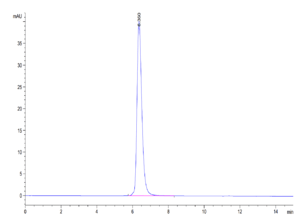 HPLC of Human CD40/TNFRSF5 Protein 4401