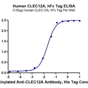 ELISA with Human CLEC12A/MICL/CLL-1 Protein 4402