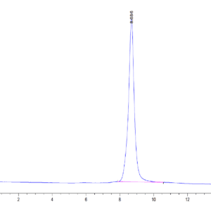HPLC of Human HMGB1 Protein 4404