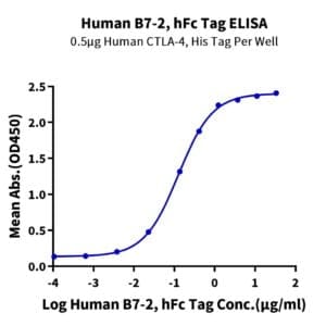 ELISA with Human B7-2/CD86 Protein 4412