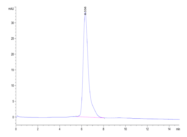 HPLC of Human B7-1/CD80 Protein 4413