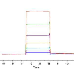 SPR with Human BAFF/TNFSF13B/CD257 Protein 4418