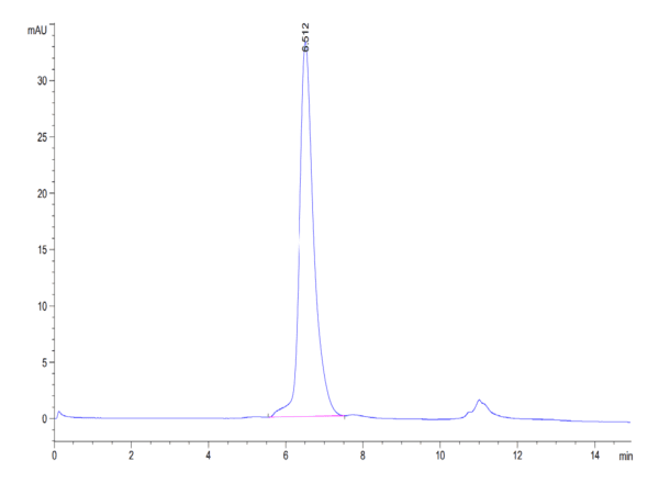 HPLC of Human BAFF/TNFSF13B/CD257 Protein 4418