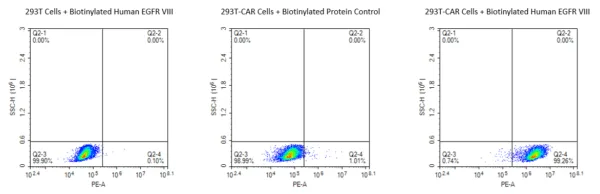 Activity assay with Biotinylated Human EGFRVIII Protein 4425