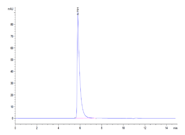 HPLC of Human Siglec-2/CD22 Protein 4436