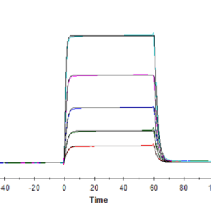 SPR with Human DNAM-1/CD226 Protein 4444