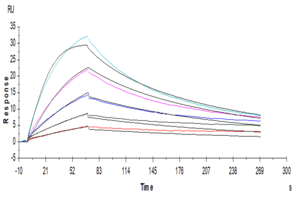 SPR with Human GM-CSF Protein 4447